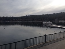 Enlarge photo 6