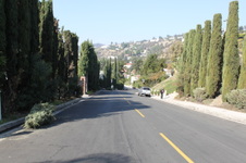 Enlarge photo 52
