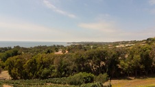 Enlarge photo 65