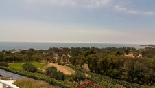 Enlarge photo 66