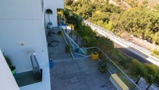 Enlarge photo 127