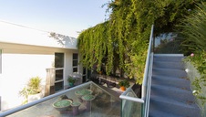 Enlarge photo 161