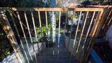 Enlarge photo 163