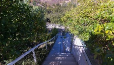 Enlarge photo 172