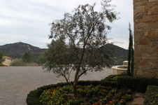 Enlarge photo 14