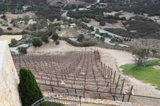 Enlarge photo 33