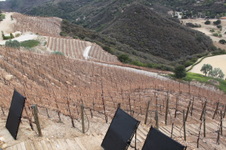 Enlarge photo 37