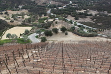 Enlarge photo 38