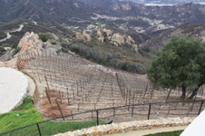Enlarge photo 93