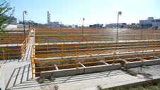 Enlarge photo 51