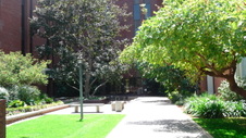 Enlarge photo 41