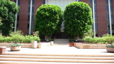 Enlarge photo 49