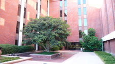 Enlarge photo 27