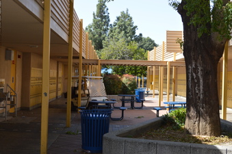 Enlarge photo 38