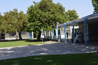 Enlarge photo 59