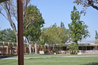 Enlarge photo 11