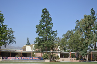 Enlarge photo 13