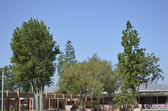 Enlarge photo 15