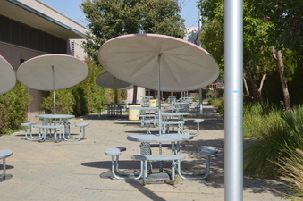 Enlarge photo 53