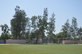 Enlarge photo 78