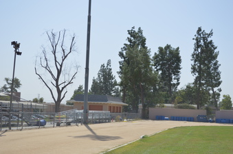 Enlarge photo 79