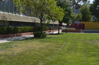 Enlarge photo 12