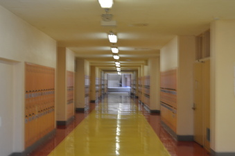 Enlarge photo 13