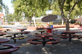 Enlarge photo 34