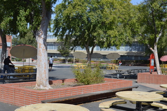 Enlarge photo 37