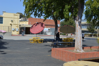 Enlarge photo 38