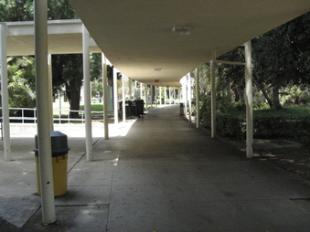 Enlarge photo 43