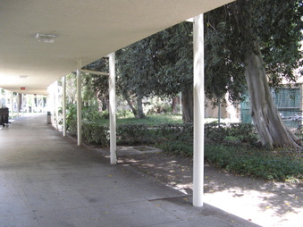 Enlarge photo 44