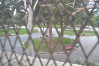 Enlarge photo 226