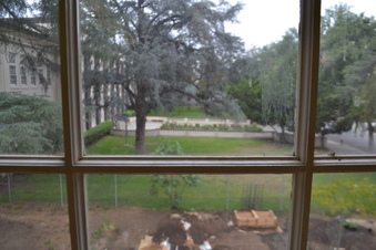 Enlarge photo 251