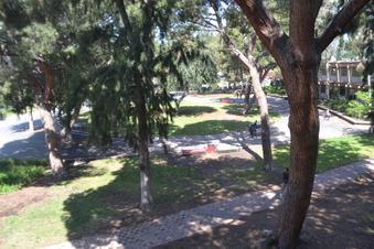 Enlarge photo 172