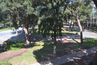 Enlarge photo 173
