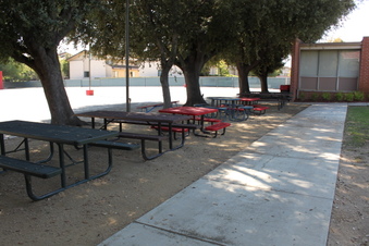 Enlarge photo 86