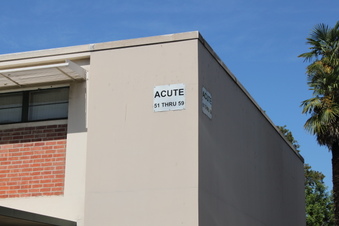 Enlarge photo 41
