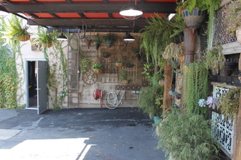 Enlarge photo 23