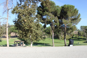 Enlarge photo 35