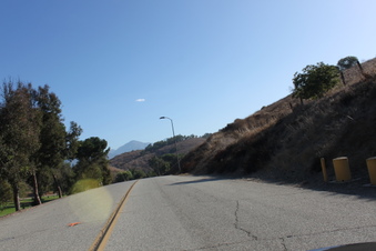 Enlarge photo 37