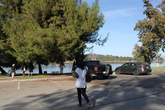 Enlarge photo 41