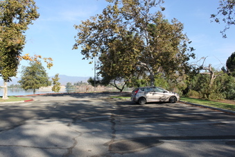 Enlarge photo 42