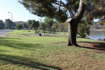 Enlarge photo 43