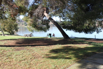 Enlarge photo 44