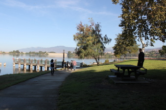 Enlarge photo 47