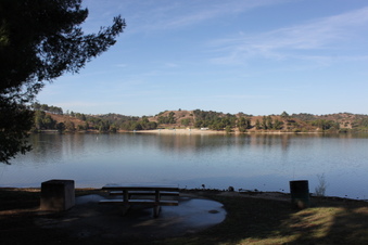 Enlarge photo 49