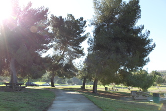Enlarge photo 52