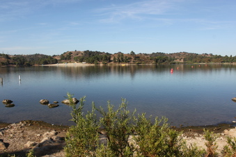 Enlarge photo 62