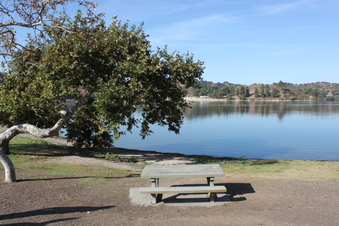 Enlarge photo 73